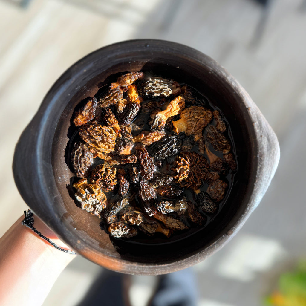 Morchella Granel